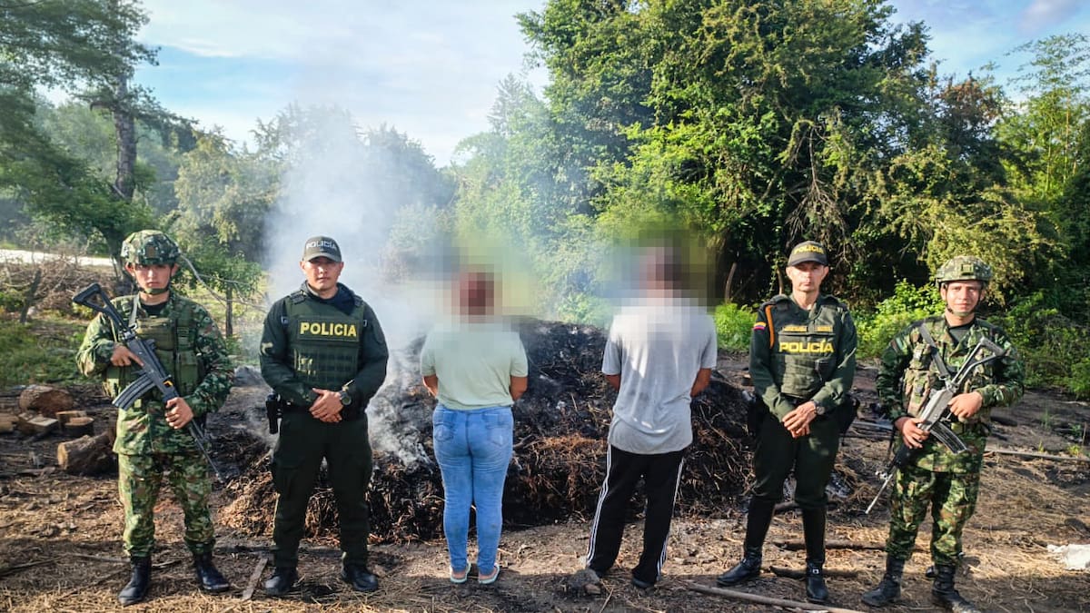 Capturan a dos personas por explotación forestal ilegal en zona rural de Aipe, Huila