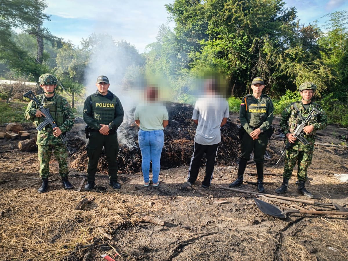 Capturan a dos personas por explotación forestal ilegal en zona rural de Aipe, Huila