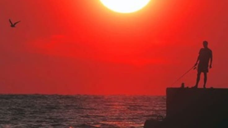 Conozca los beneficios de la vitamina D