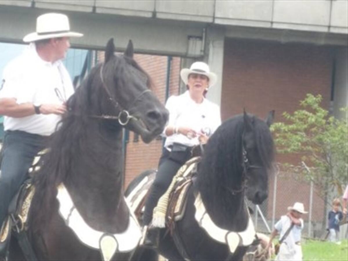 Fedequinos no respalda protestas con cabalgatas ilegales en Medellín