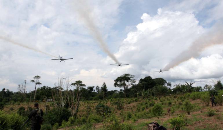 Aspersión cultivos ilícitos