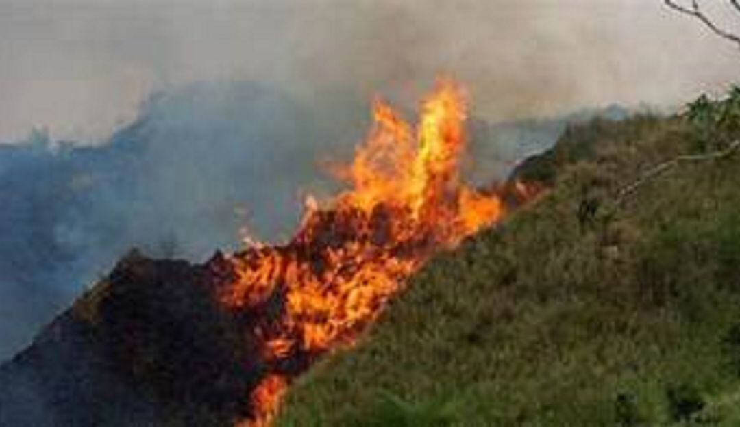 En lo que ha corrido del año se  allegado a los cerca de 26.000 puntos de calor relacionados directamente con incendios forestales