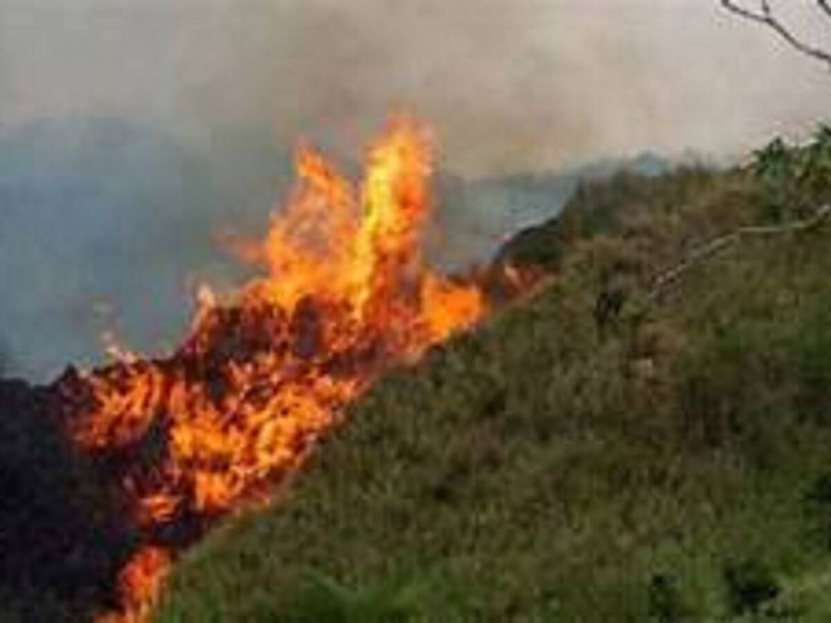 Autoridades del Caquetá analizan situación por incendios forestales