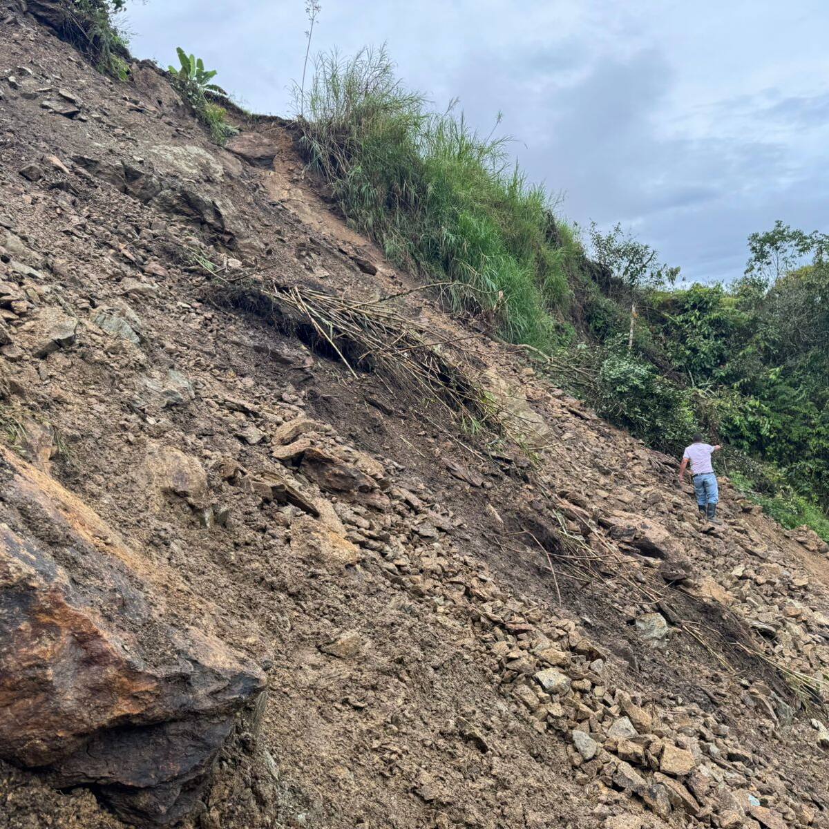 120 Familias están incomunicadas en el municipio de Génova, Quindío debido a los derrumbes