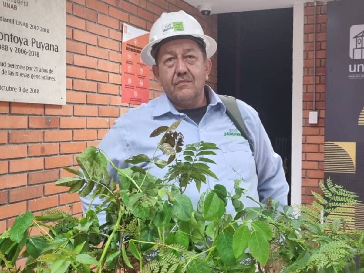 Juan Eusebio quiere sembrar 15 mil árboles en Bucaramanga