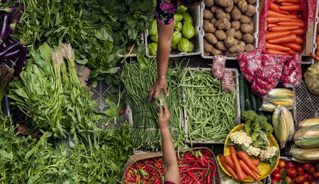 Seguridad alimentaria