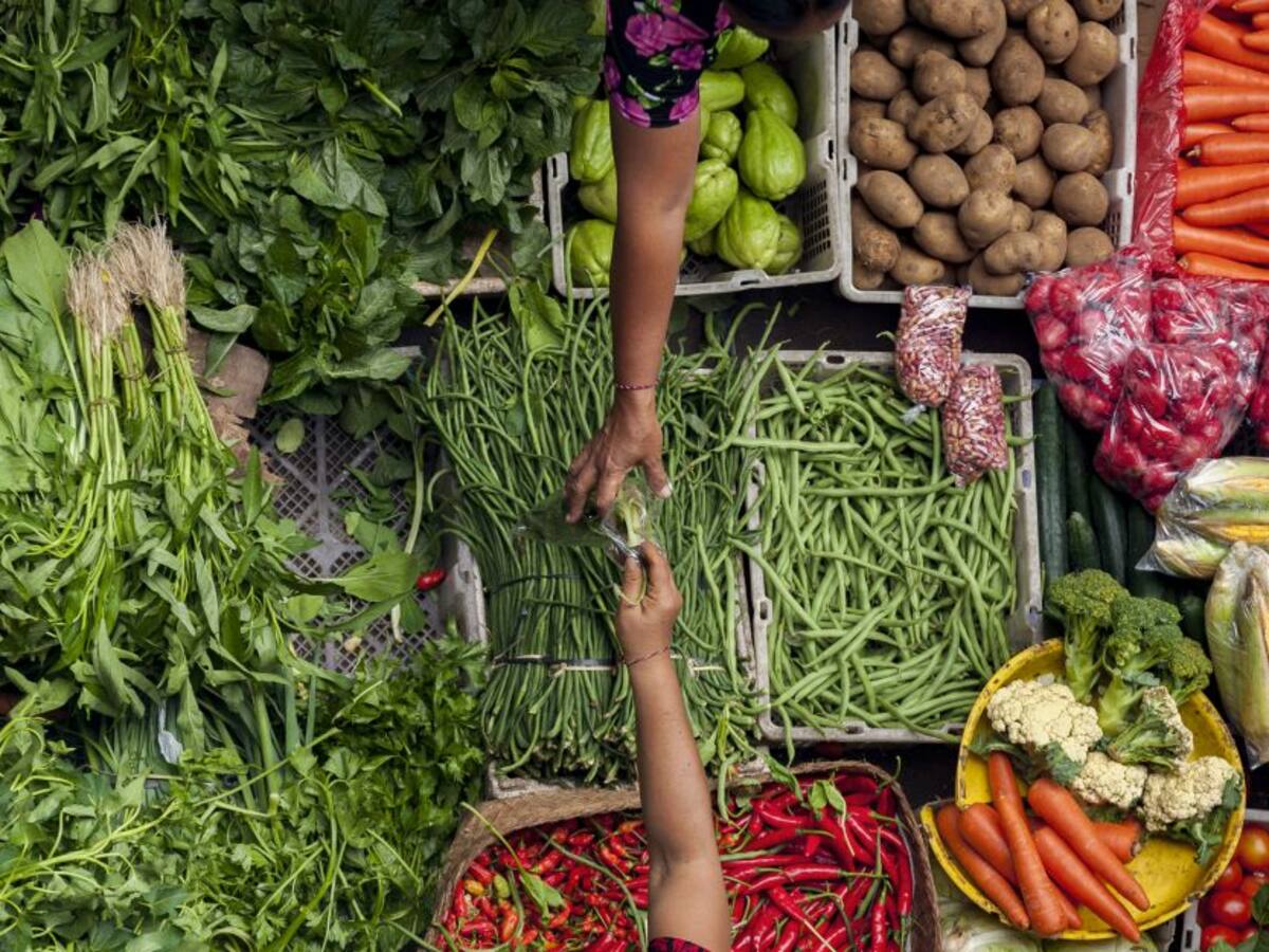 Colombia, cuarto país con mayor inseguridad alimentaria de Sudamérica; esto puede hacer desde casa
