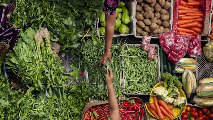 Proyecto de Ley que incentiva donación de alimentos: “El único objetivo es erradicar el hambre”