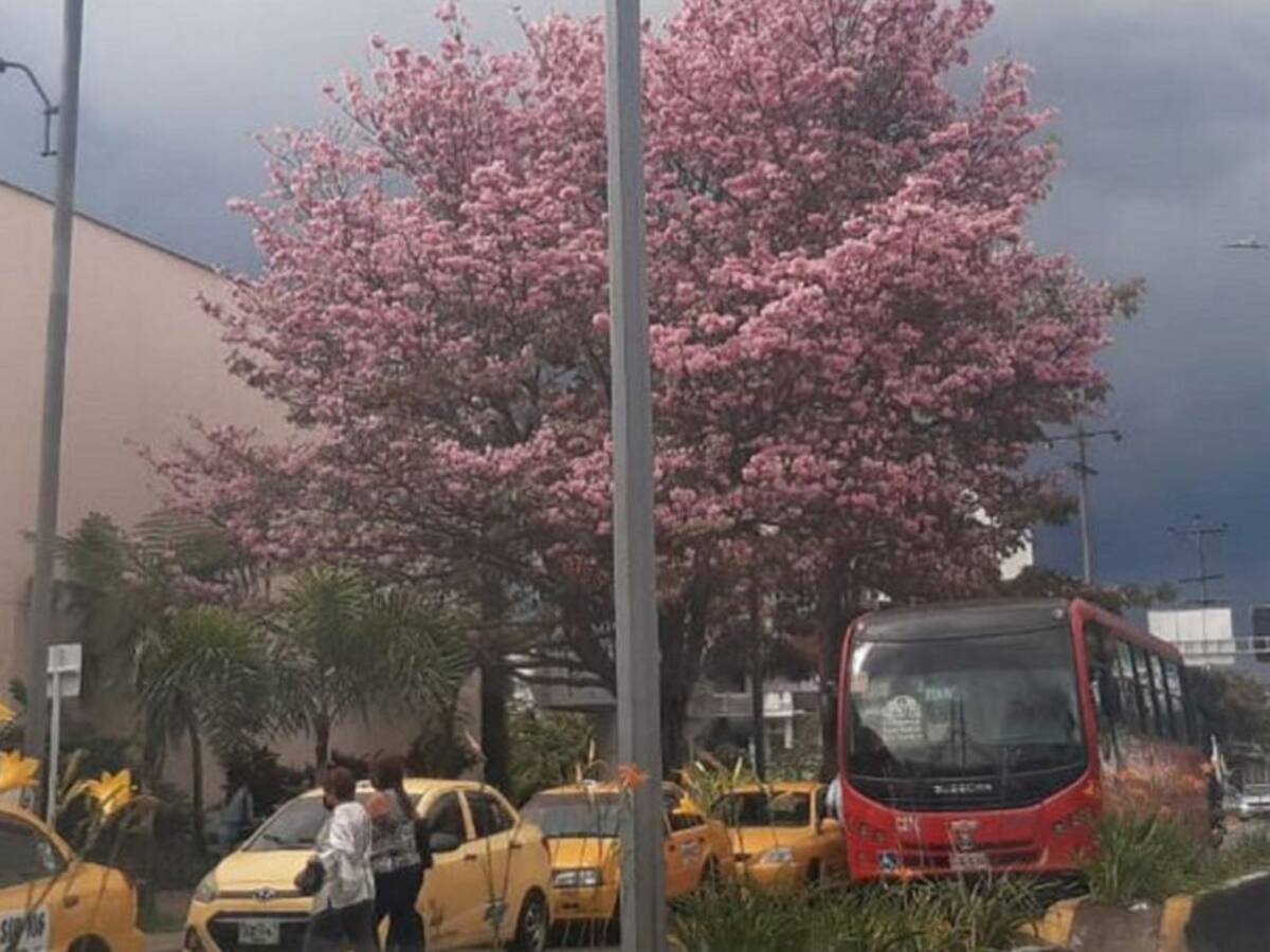 Actividad de faroles genera cierres viales en sector de Unicentro Armenia