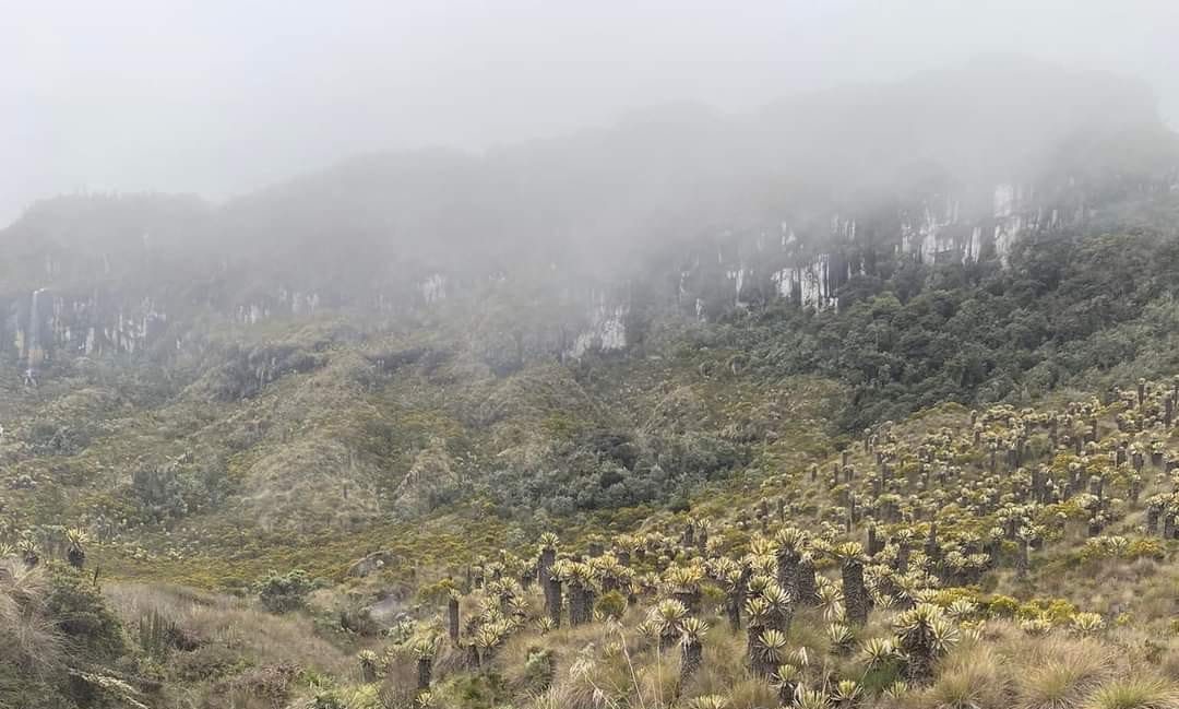 Pérdidas de un 100% reportan operadores turísticos en Murillo, Tolima.