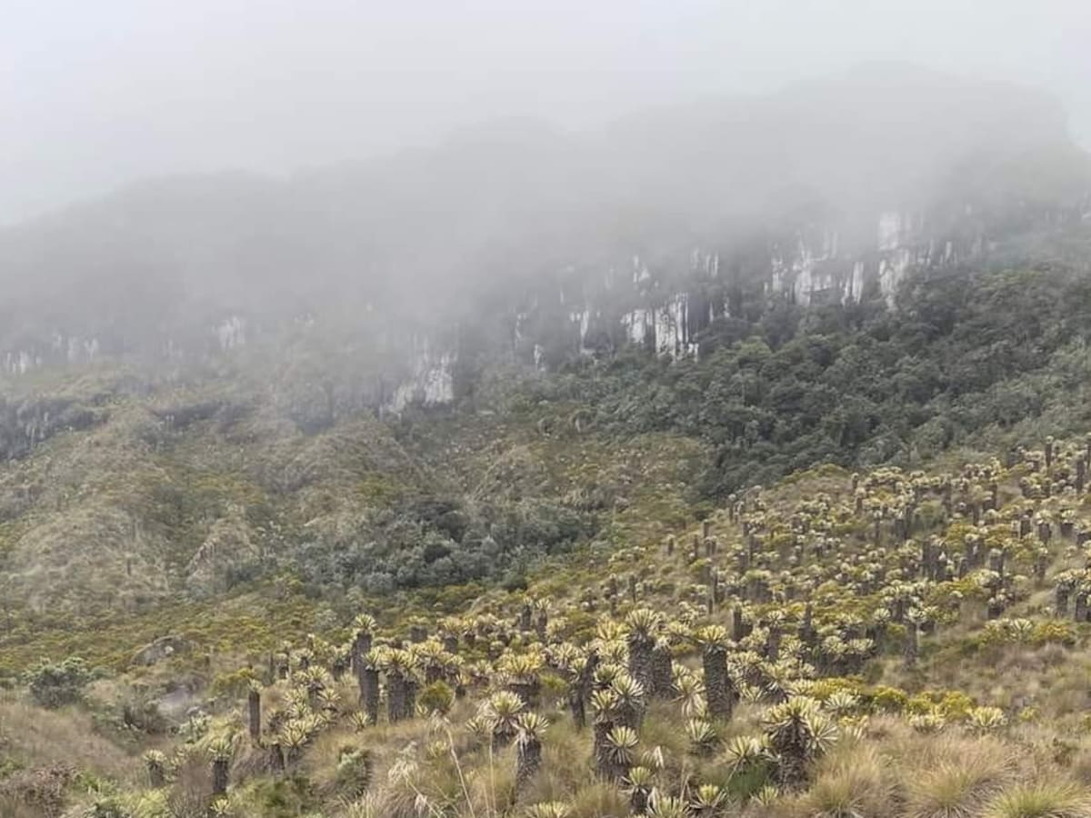 Pérdidas de un 100% reportan operadores turísticos en Murillo, Tolima
