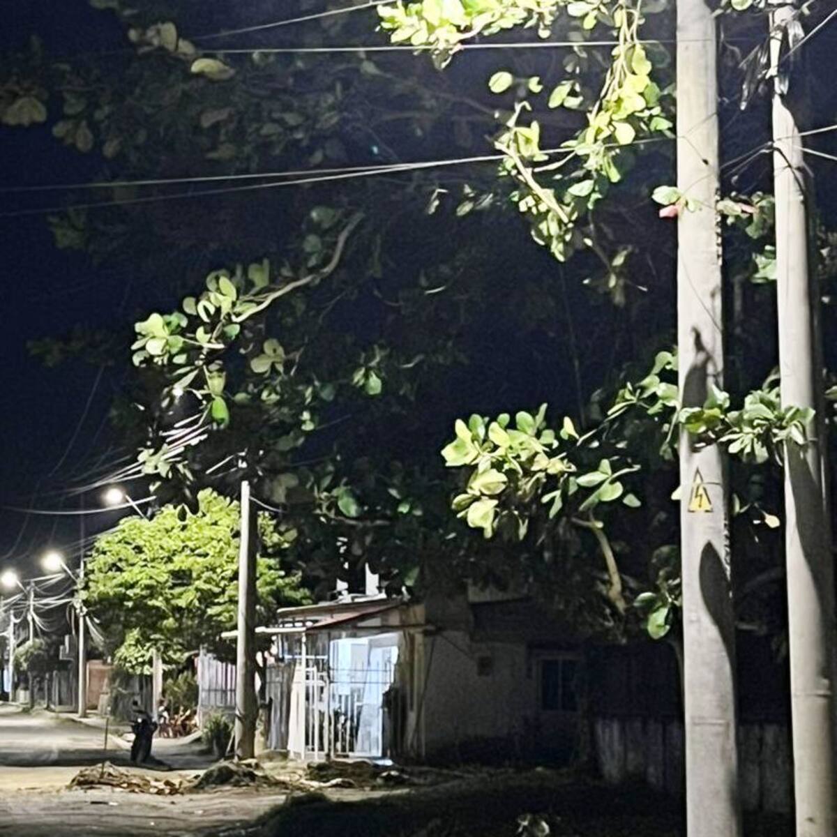 Santa Catalina ilumina su futuro con tecnología LED de alta eficiencia