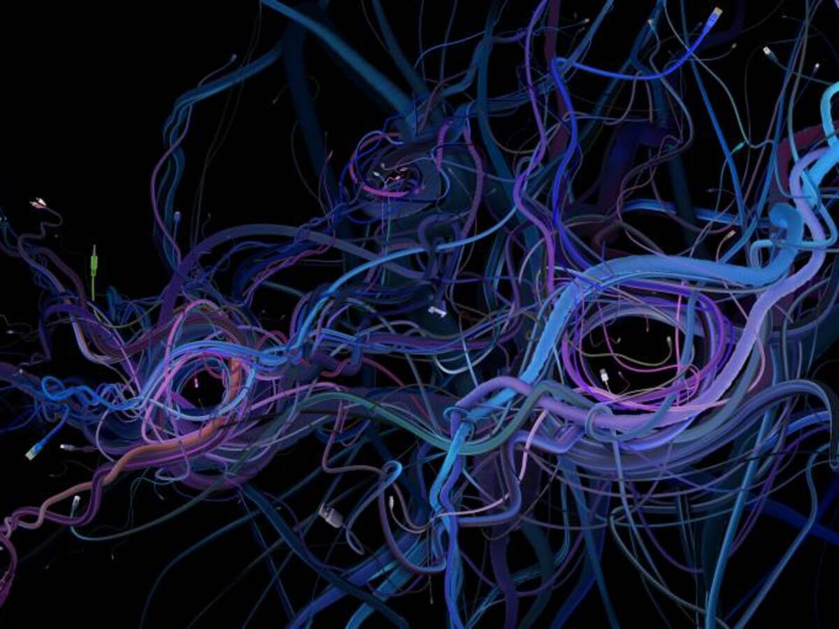 Joe Dispenza, efecto placebo - 24 de noviembre