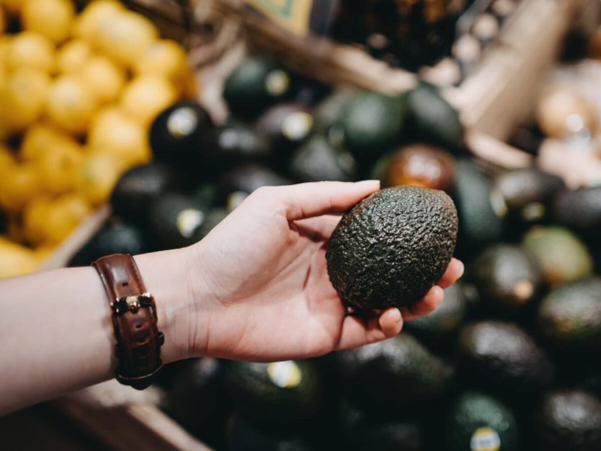 Primer encuentro regional de aguacate hass en el Huila