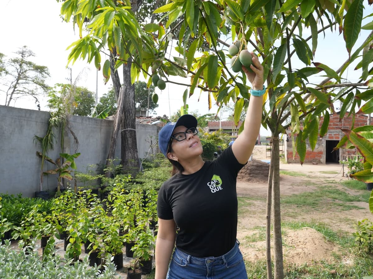 Cardique reverdece Bayunca con más de 650 árboles y fortalece el paisaje urbano del corregimiento