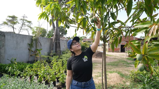Cardique reverdece Bayunca con más de 650 árboles y fortalece el paisaje urbano del corregimiento