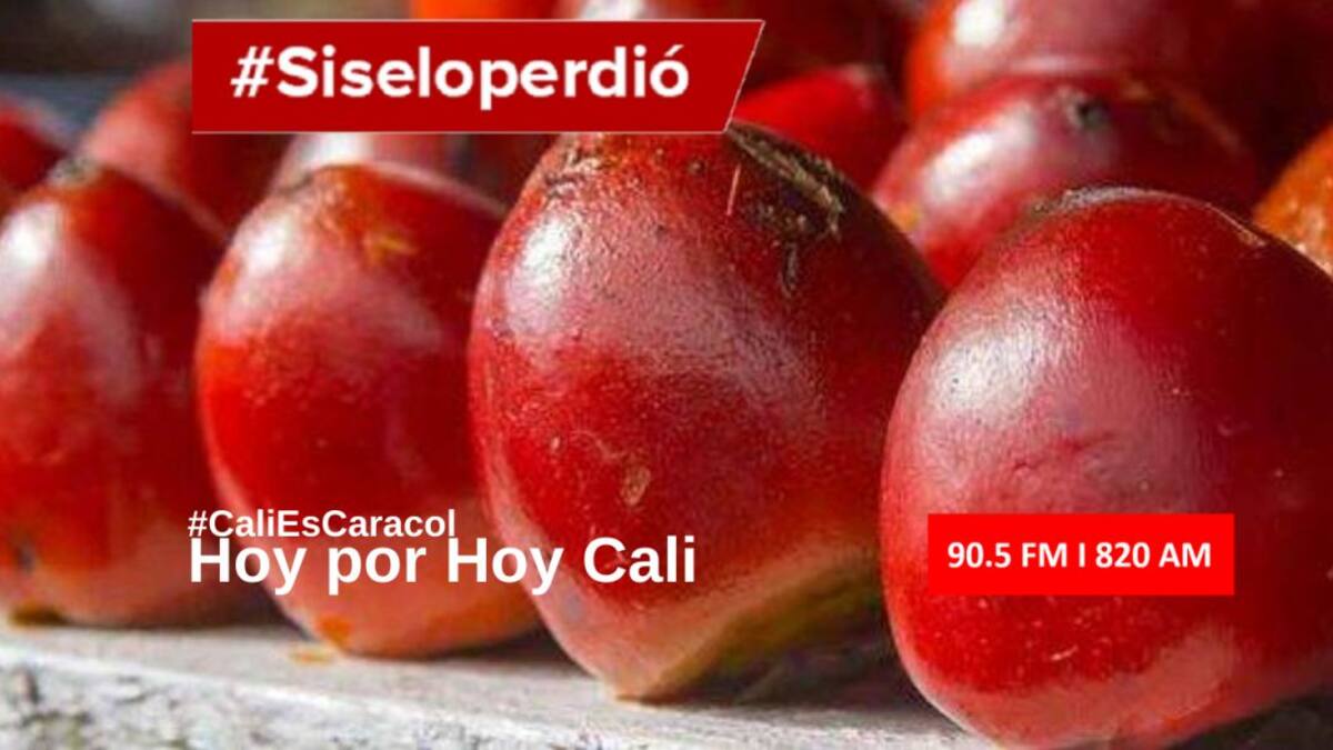 Cali hoy por hoy 03 de septiembre del 2020