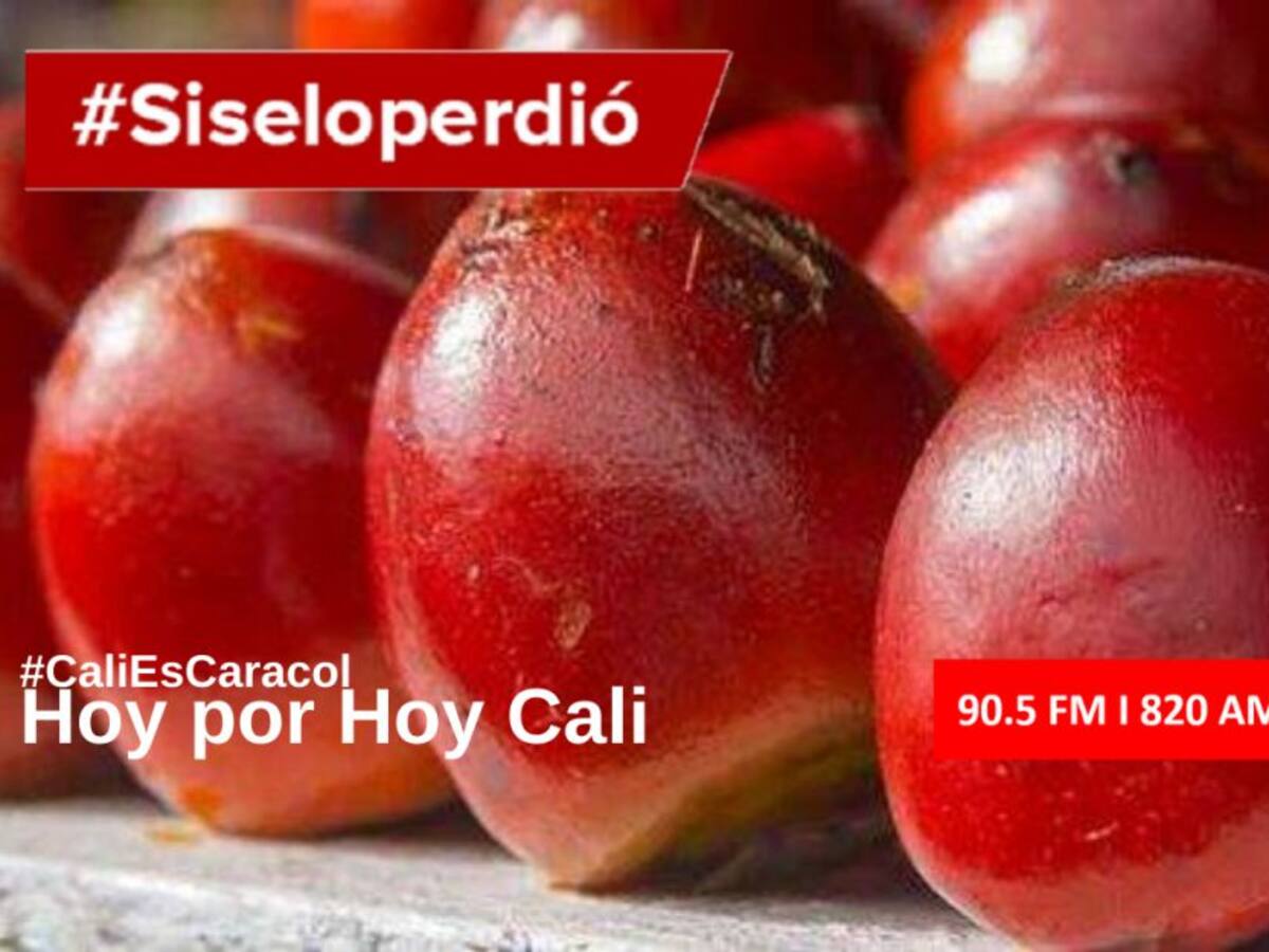 Cali Hoy por Hoy 03 de septiembre del 2020