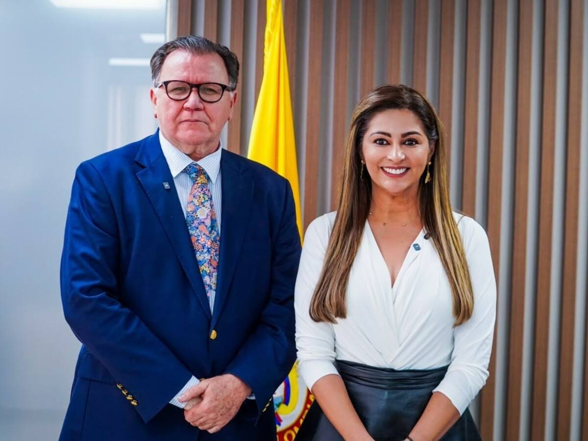 Ministro de Agricultura anuncia ayudas, subsidios y alivios para afectados por incendios en Tolima