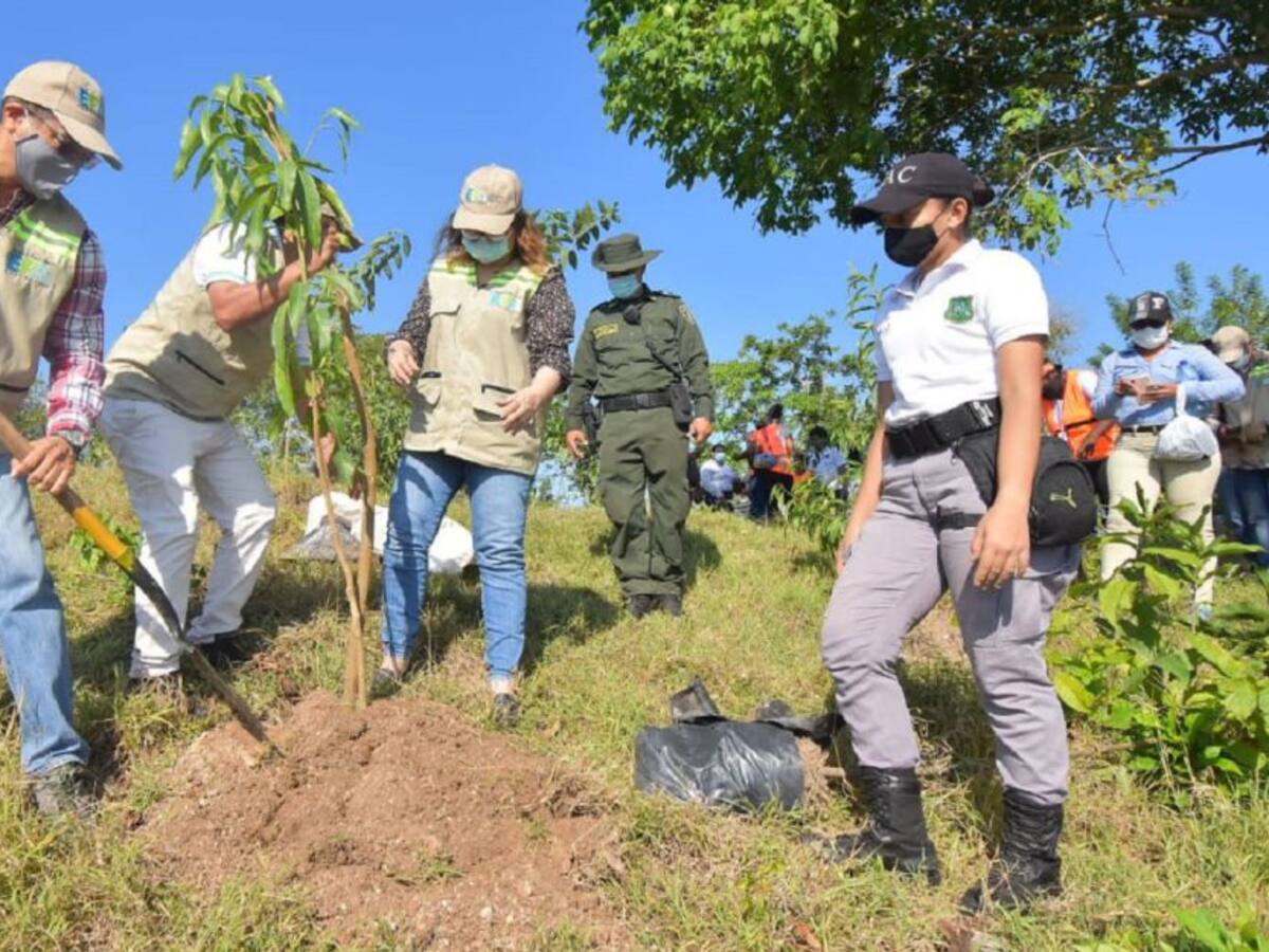 EPA Cartagena gastará unos $15.500 millones en el año 2021