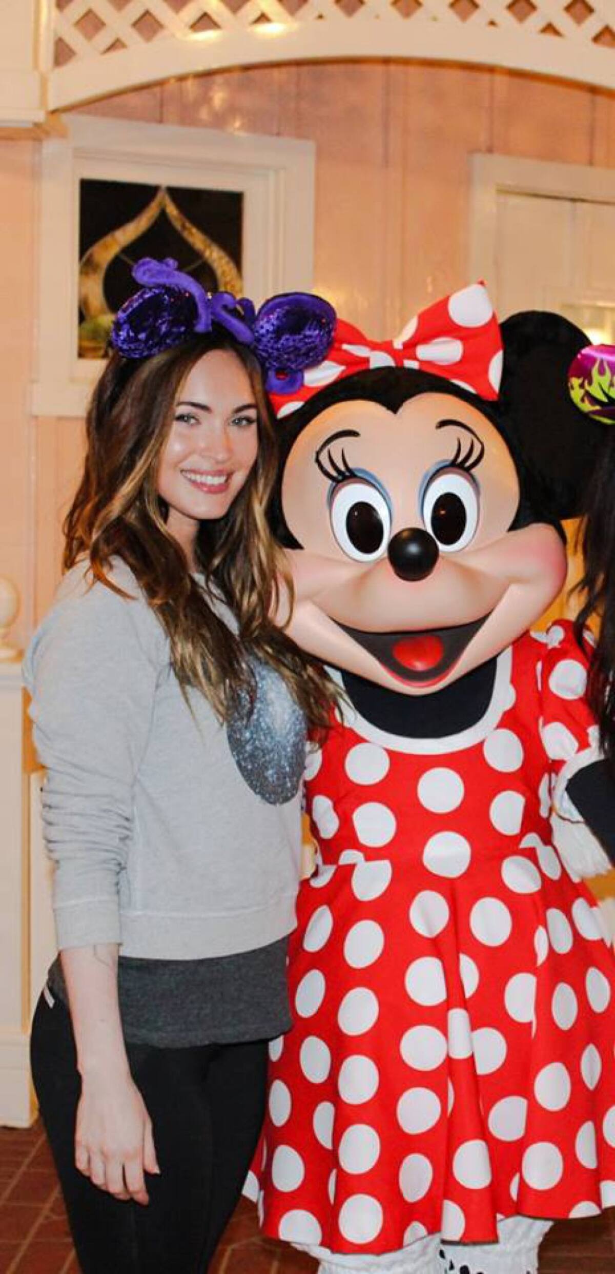 En el año 2009 repitió el papel de Mikaela Banes en Transformers II: la venganza de los caídos.