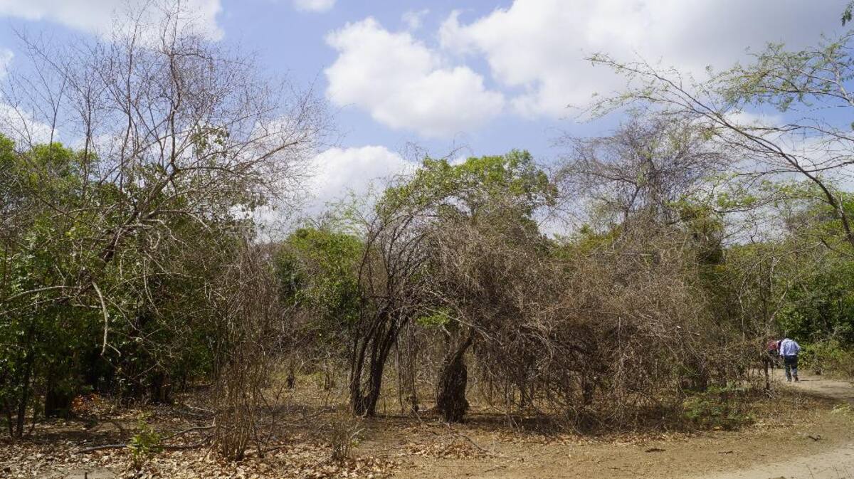 Recorrido de Caracol Radio por las zonas que aguantan sed. Fotos de Luis Enrique Rodríguez