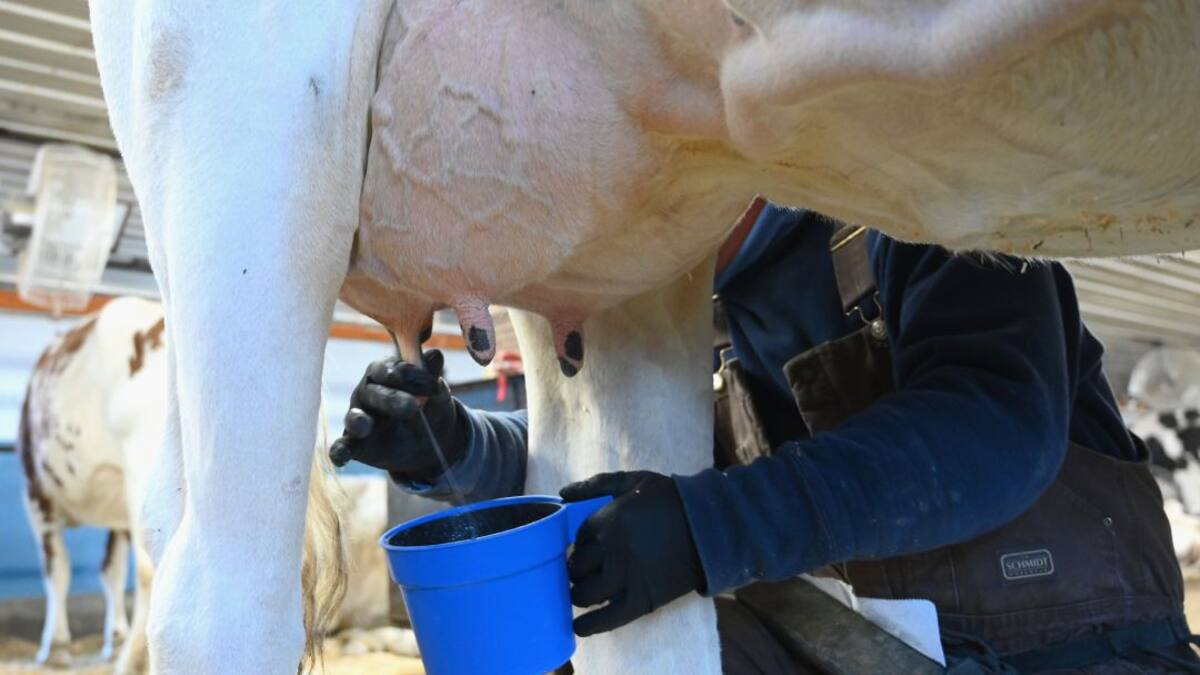 En Colombia se consume menos leche de lo recomendado