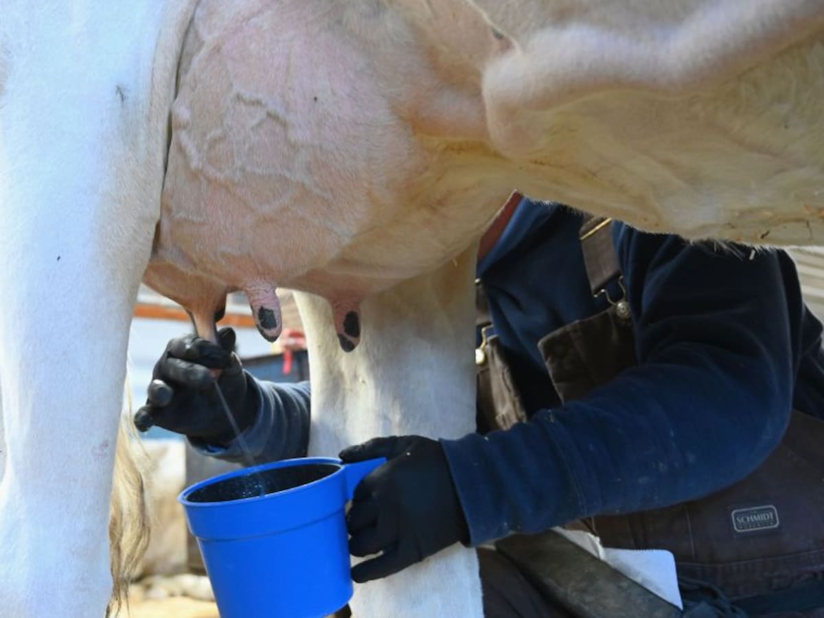 En Colombia se consume menos leche de lo recomendado