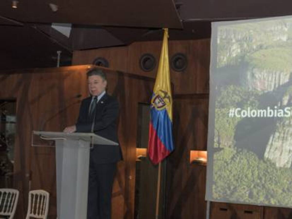 La ingeniera Mary Gómez es la nueva directora del Fondo Colombia Sostenible