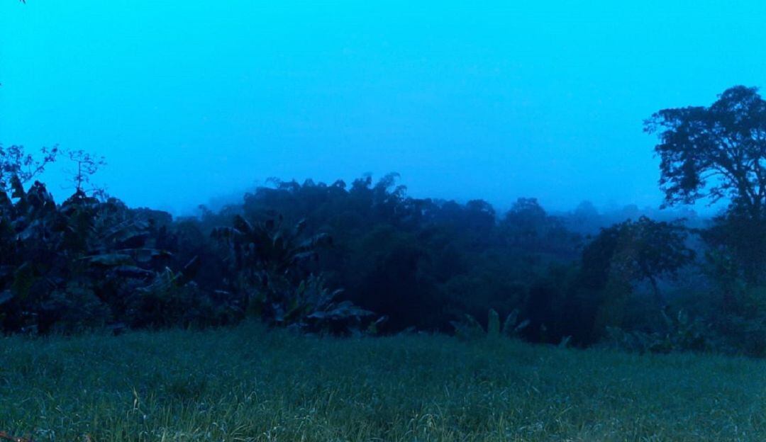 Amanecer nublado en las fincas del Quindío, desde el municipio de Circasia
