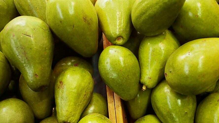 Gobierno buscará que China abra su mercado a la carne y los aguacates colombianos. Foto: Colprensa