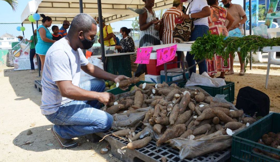 Estrategia que le apuesta a la reactivación económica de los campesinos, quienes venden sus cosechas sin necesidad de intermediarios