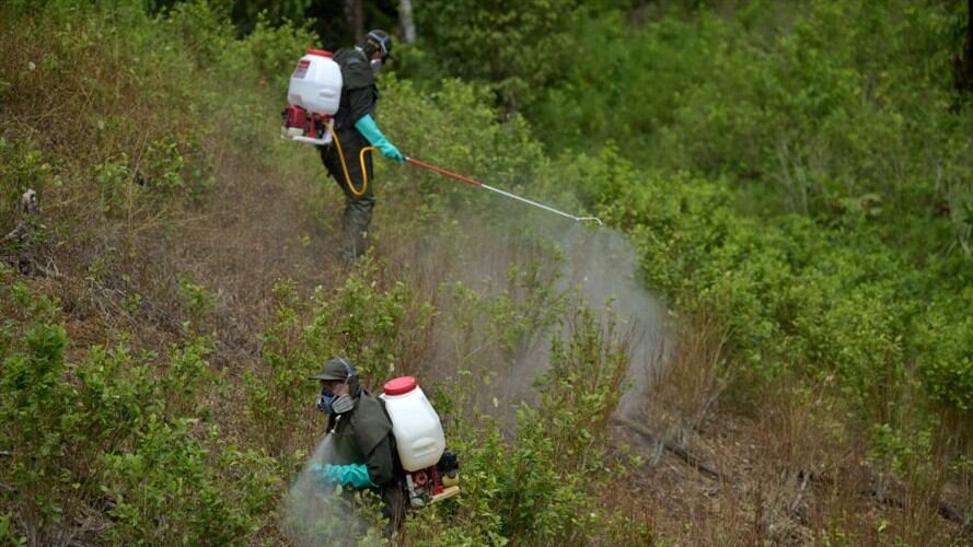 “Con las fumigaciones (con glifosato) entramos en una lógica de confrontación entre la población y la Fuerza Pública”: exsenador Juan Manuel Galán. Foto: Getty Images / RAÚL ARBOLEDA