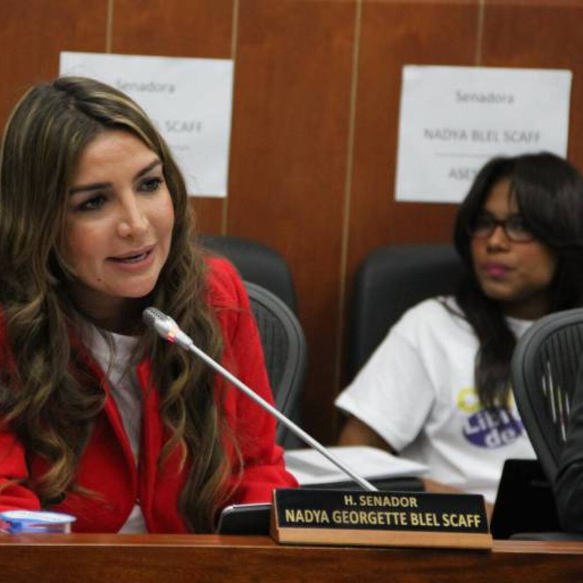 Nadia Blel sobre reforma laboral: “Hemos sido amenazados, pero daremos la batalla para hundirla”