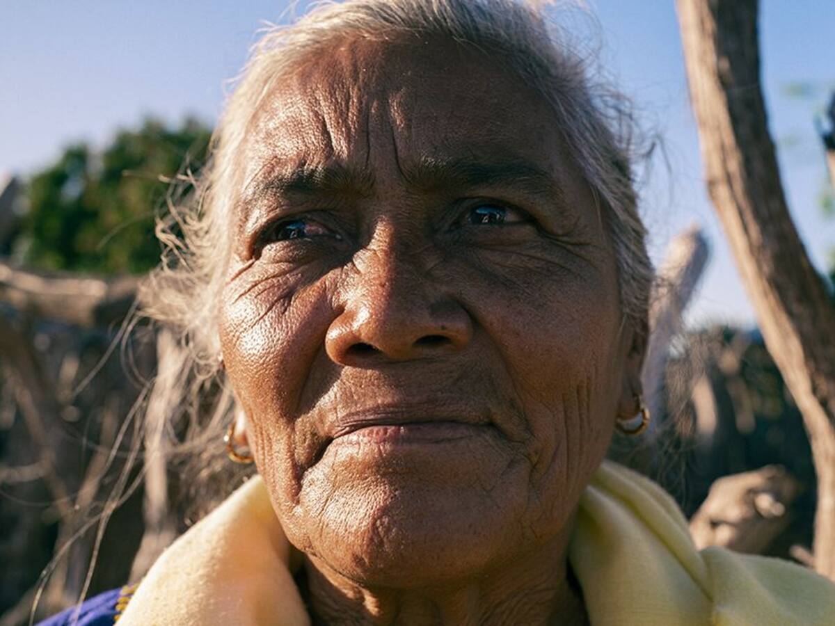 Alpina rinde homenaje a los Wayuu y le apuesta a la nutrición sostenible