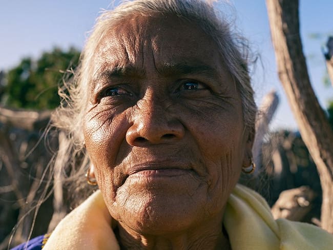 Alpina rinde homenaje a los Wayuu y le apuesta a la nutrición sostenible