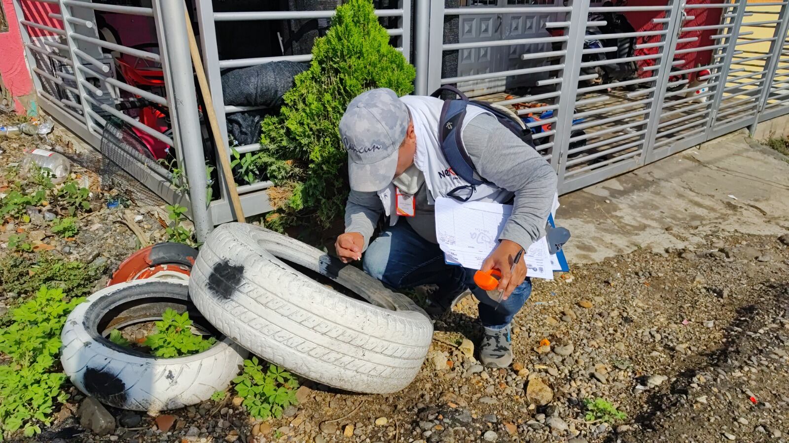 Aumentan casos de dengue en Neiva