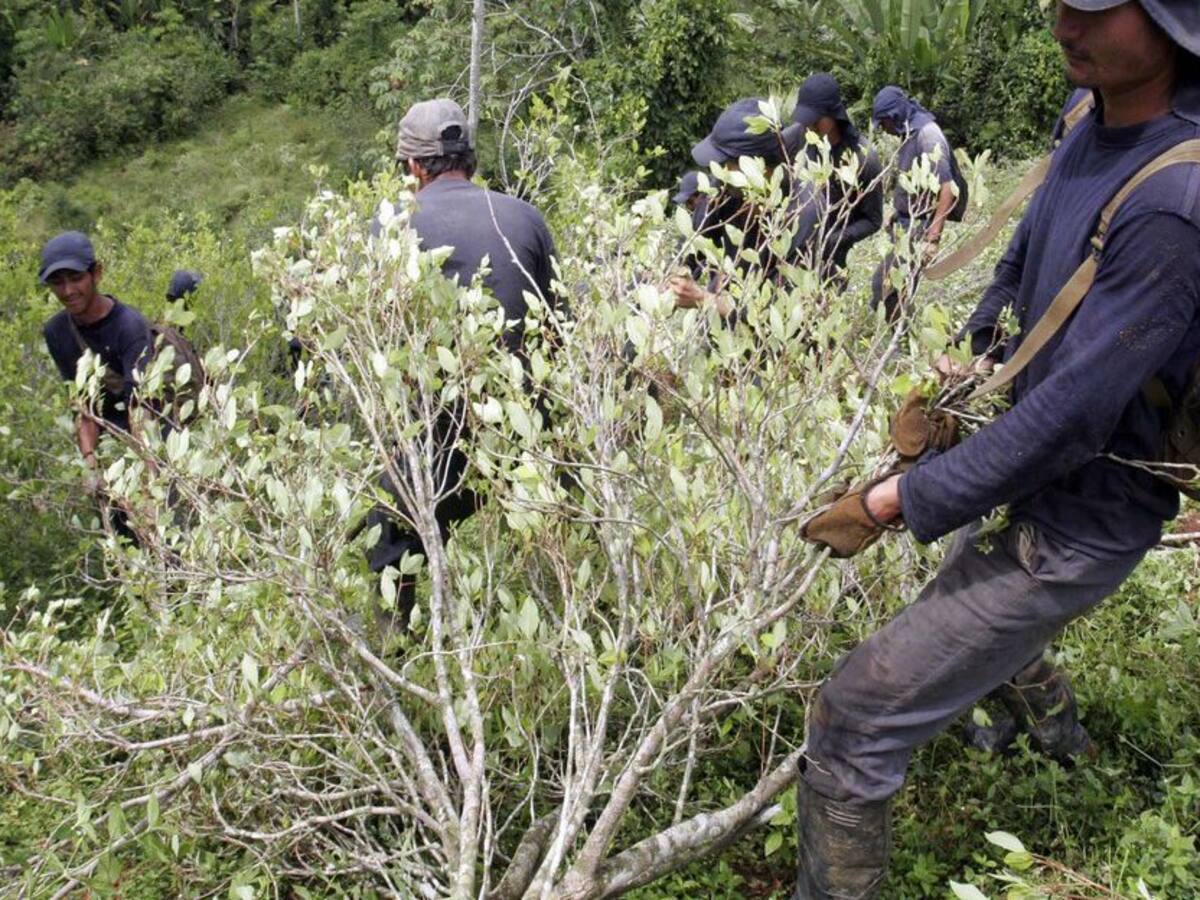 Un herido en confrontaciones en Iscuandé