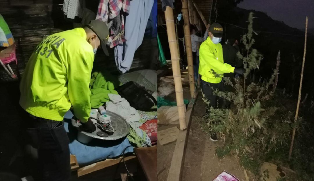 Desmantelada fábrica de marihuana.