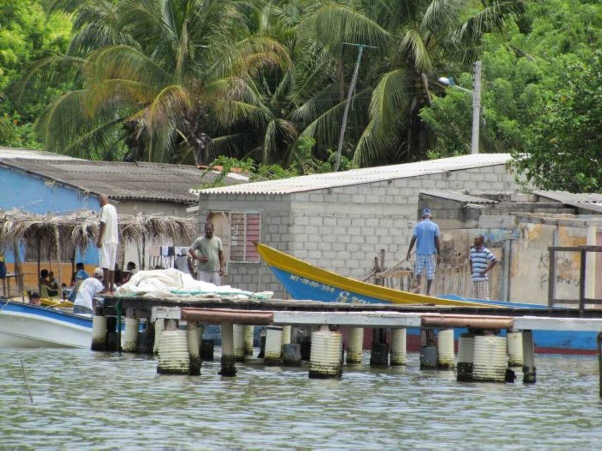 Juez ordenó garantizar servicios de acueducto y saneamiento básico en Caño del Oro