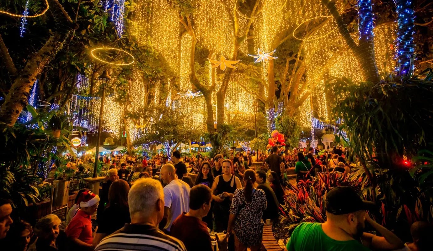 Estos son los alumbrados más bonitos de Colombia, según la IA: ¿cuál visitaría?