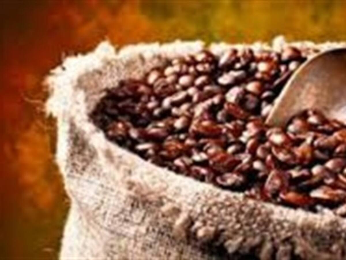 Producción de café en 2013 fue de 10.9 millones de sacos