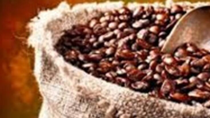 Producción de café en 2013 fue de 10.9 millones de sacos