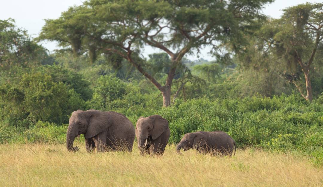 Cortesía: Getty Images