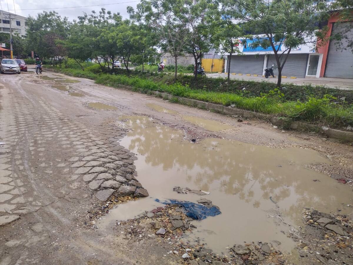 Que inicie pronto: vecinos de La Carolina celebran anuncio de intervención de la vía