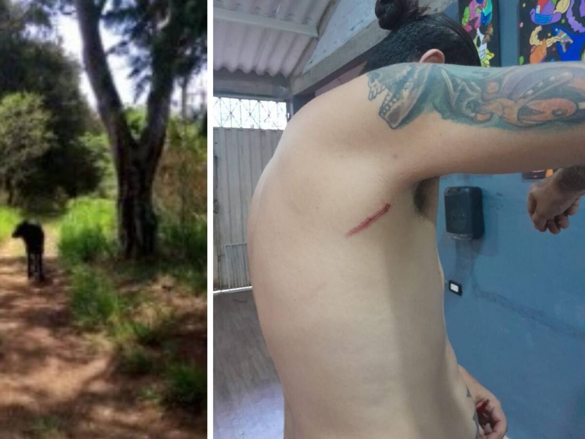 Músicos bogotanos denunciaron a concejal santandereano por presuntas amenazas