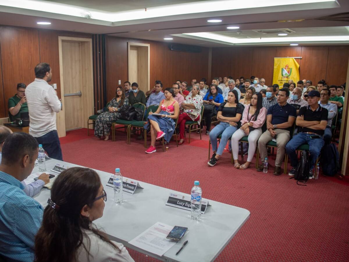 En varios municipios del Tolima existen varios predios que no han sido legalizados