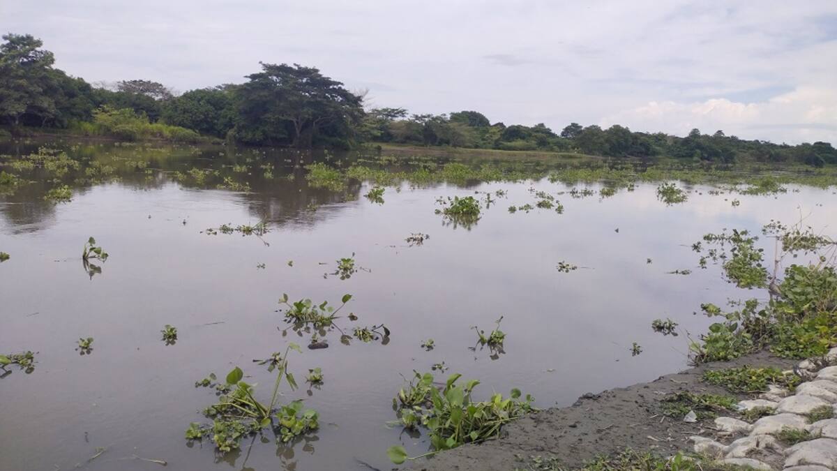 Condiciones navegables en Canal del Dique son limitadas por bajo nivel de las aguas