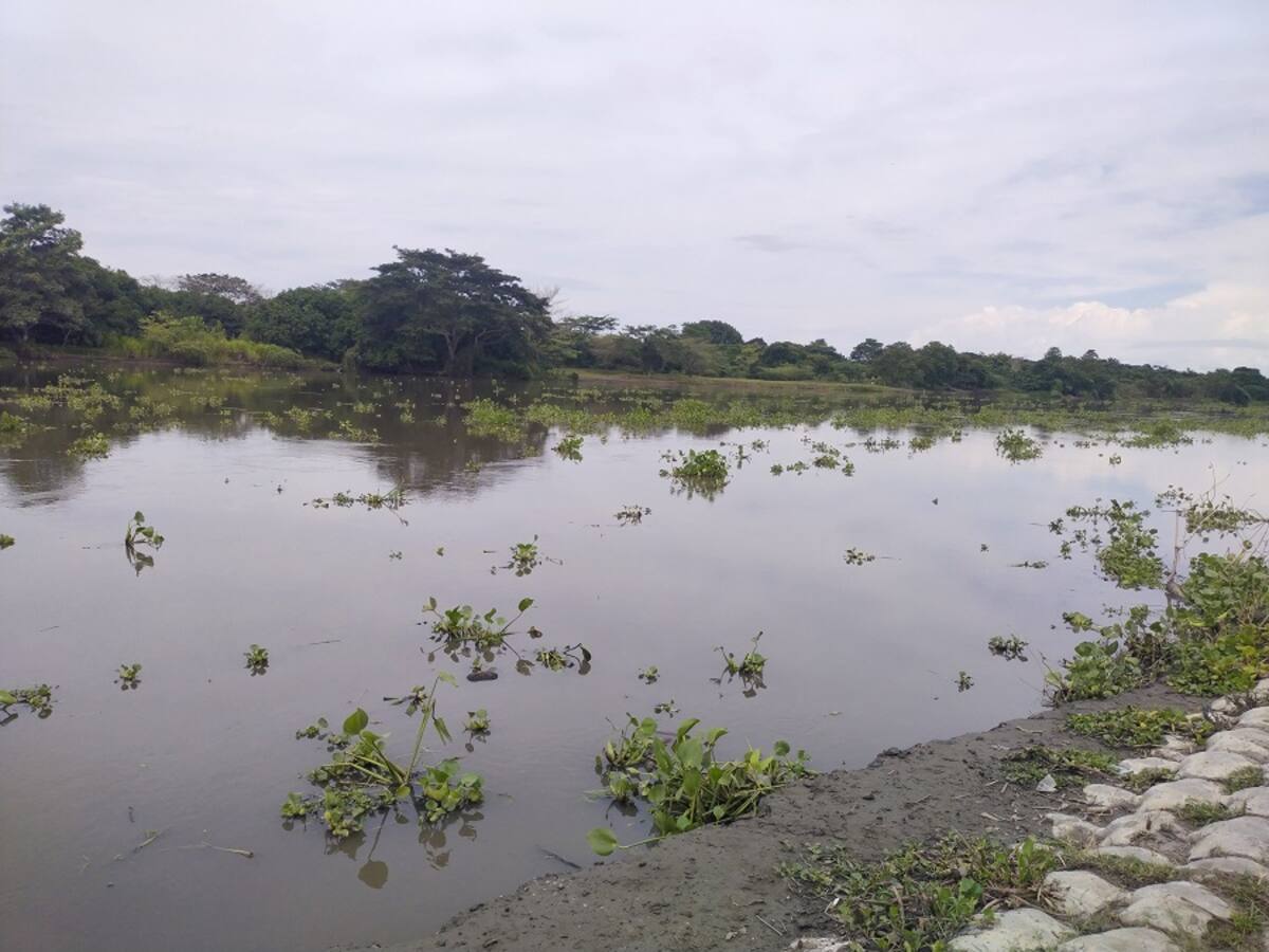 Condiciones navegables en Canal del Dique son limitadas por bajo nivel de las aguas