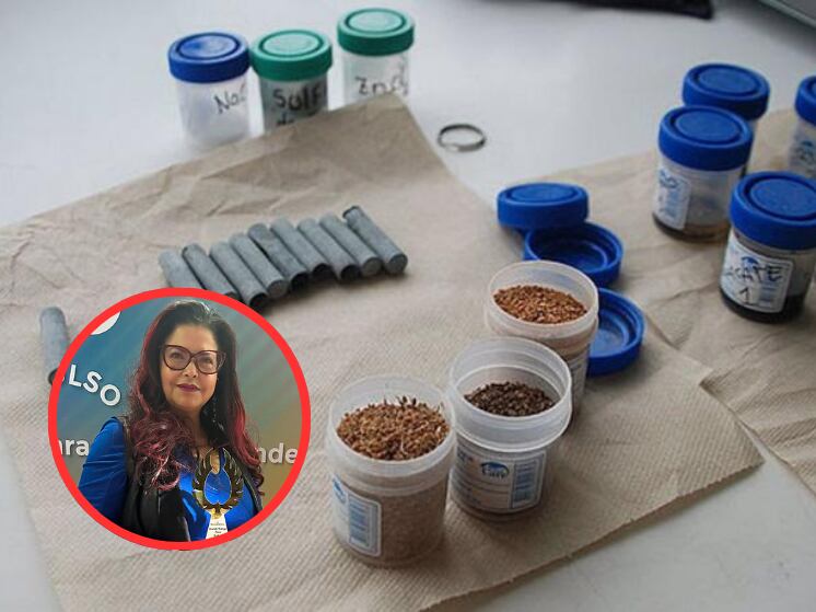 Profesora Elisabeth Restrepo Parra, directora de Innterfaz CDT de la Universidad Nacional de Colombia, Sede Manizales